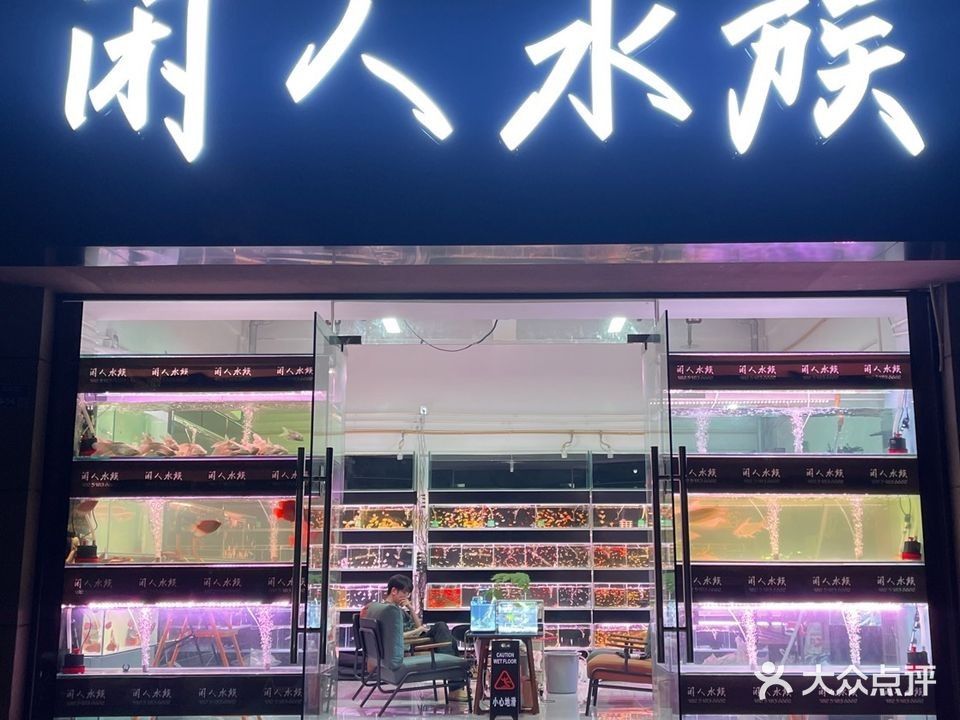 雨花臺哪個水族館龍魚好？祥龍魚場龍魚（南京花臺區(qū)祥龍魚場）