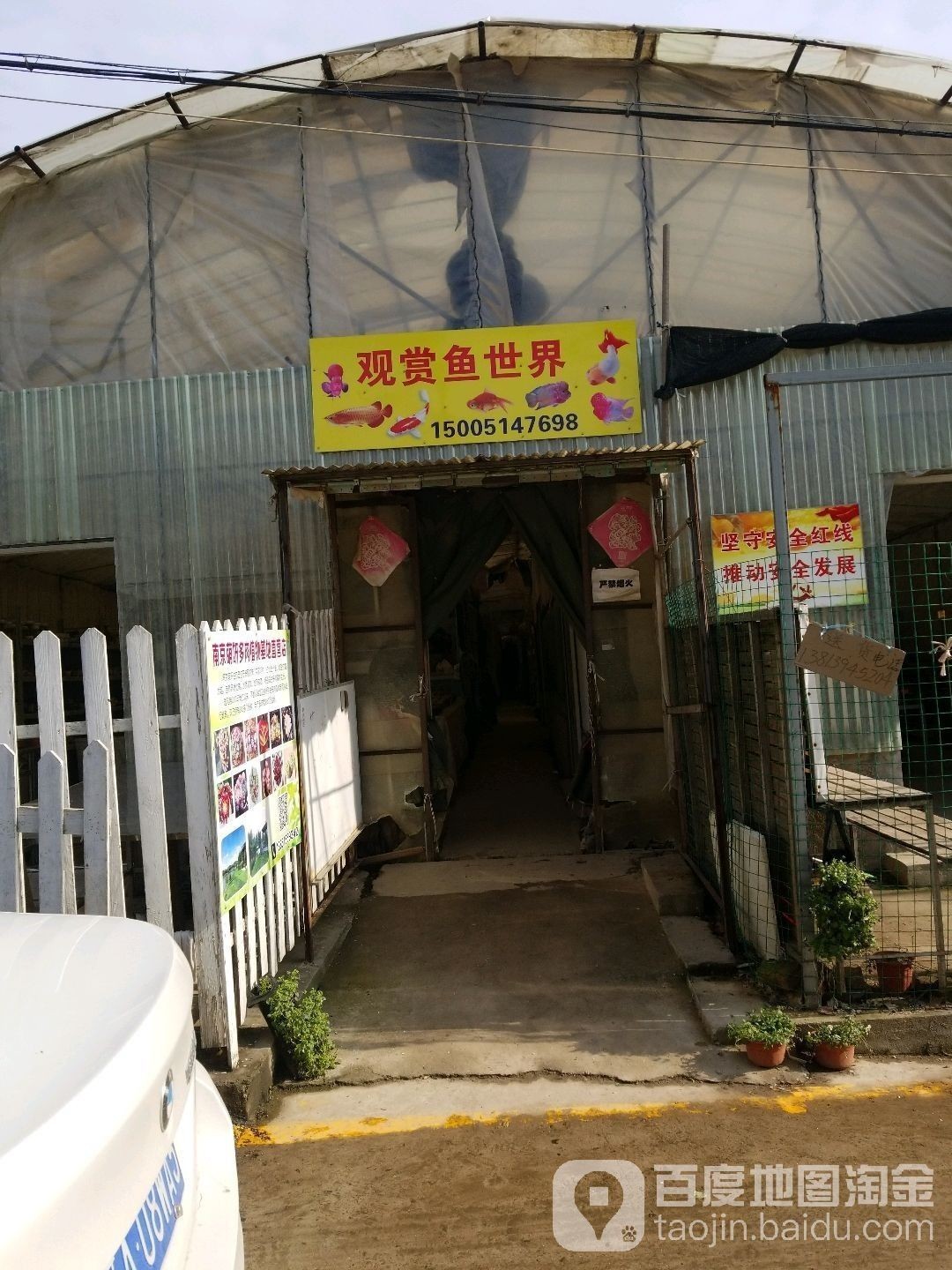 雨花臺哪個水族館龍魚好？祥龍魚場龍魚（南京花臺區(qū)祥龍魚場）