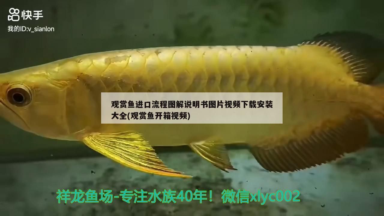 觀賞魚進口流程圖解說明書圖片視頻下載安裝大全(觀賞魚開箱視頻)（觀賞魚進口流程圖解說明書）