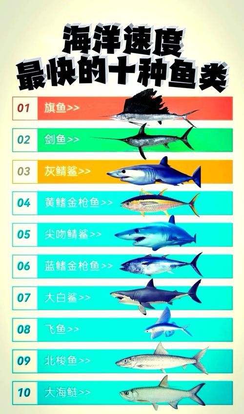 如何快速獲得開心水族箱中的劍龍魚（《開心水族箱》如何隱藏成就）