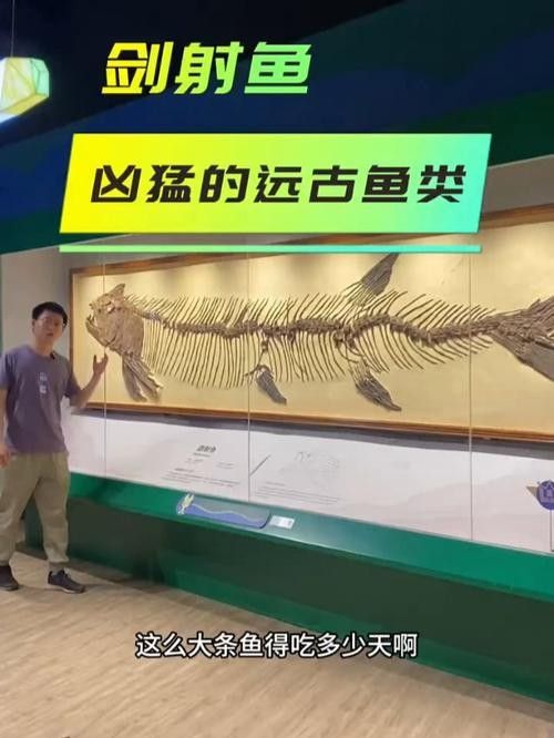 如何快速獲得開心水族箱中的劍龍魚（《開心水族箱》如何隱藏成就）