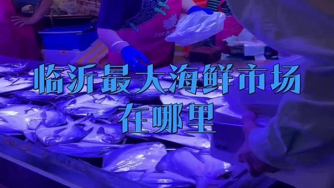華東國際水產城有哪些知名的龍魚商戶（華東國際水產城有哪些知名的龍魚商戶？）
