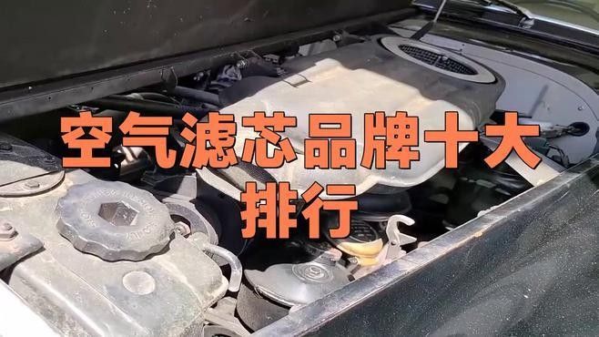 哪個品牌的濾材質量最好？（哪個品牌濾材質量最好） 哪個品牌的濾材質量最好？（哪個品牌濾材質量最好） 龍魚百科 第5張