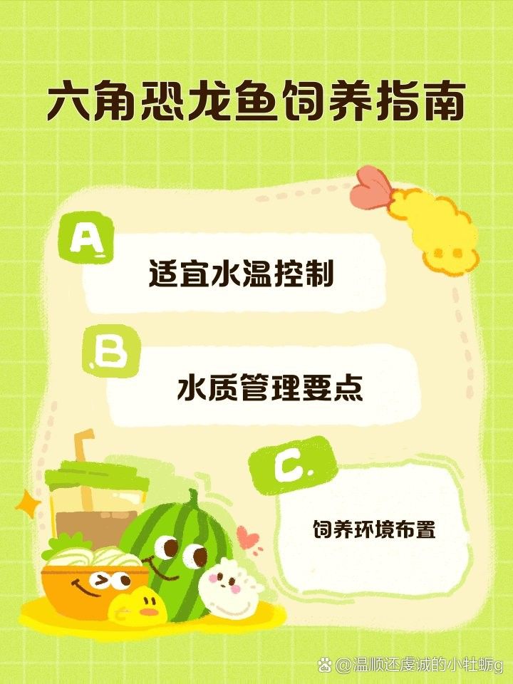 六角龍魚缸需要打氧嗎 六角龍魚缸需要打氧嗎 龍魚百科 第8張