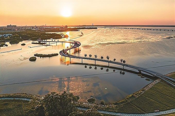 仟湖和森森哪個更環保？（仟湖和森森哪個更環保仟湖魚缸和森森哪個好聽聽老魚友怎么說） 仟湖和森森哪個更環保？（仟湖和森森哪個更環保仟湖魚缸和森森哪個好聽聽老魚友怎么說） 龍魚百科 第7張
