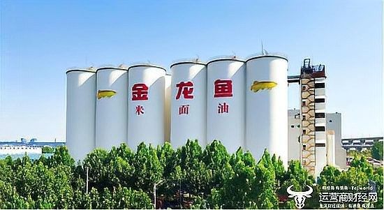 金龍魚員工薪酬水平如何？（金龍魚工資待遇怎么樣） 金龍魚員工薪酬水平如何？（金龍魚工資待遇怎么樣） 龍魚百科 第3張
