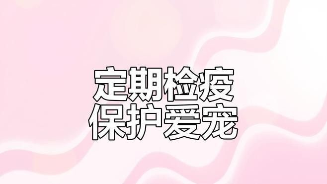 如何預防白龍魚生病？