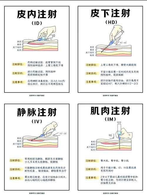 如何預防白龍魚生病？