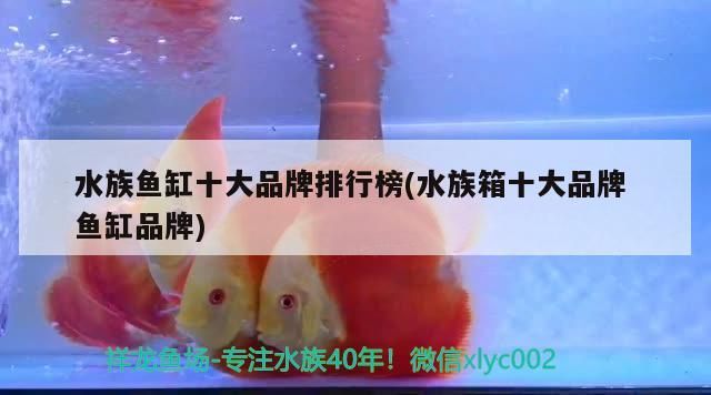 水族魚缸十大品牌排行榜(水族箱十大品牌魚缸品牌)（水族魚缸十大品牌品牌排行榜）