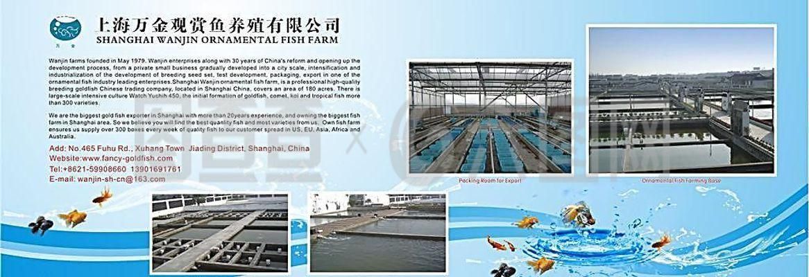 觀賞魚養(yǎng)殖公司簡介（觀賞魚養(yǎng)殖公司的簡介）