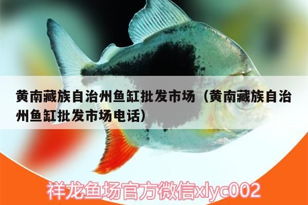 黃南藏族自治州魚缸批發市場（黃南藏族自治州魚缸批發市場電話）（南充黃南藏族自治州魚缸批發市場） 黃南藏族自治州魚缸批發市場（黃南藏族自治州魚缸批發市場電話）（南充黃南藏族自治州魚缸批發市場） 觀賞魚百科