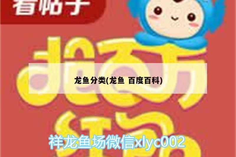 龍魚分類(龍魚百度百科)（如何識別真假龍魚）