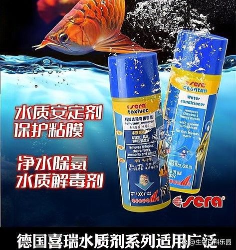 使用凈水劑后需要換水嗎（魚缸使用凈水劑后需要換水嗎）