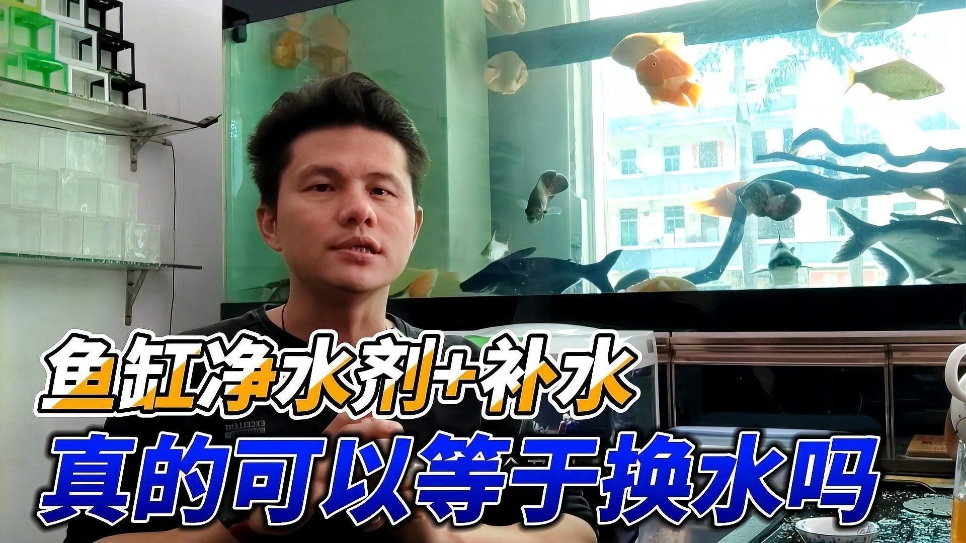 使用凈水劑后需要換水嗎（魚缸使用凈水劑后需要換水嗎）