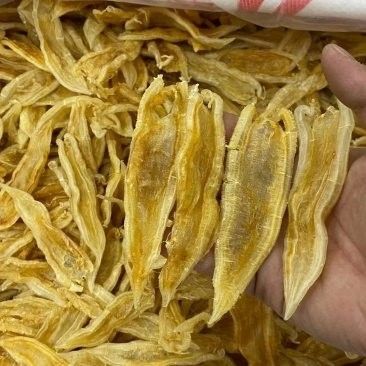 北海金龍魚膠的價格是多少？（北海金龍魚膠價格因規(guī)格和品牌差異較大主要分為以下幾檔） 北海金龍魚膠的價格是多少？（北海金龍魚膠價格因規(guī)格和品牌差異較大主要分為以下幾檔） 龍魚百科 第11張