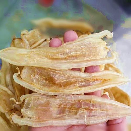 北海金龍魚膠的價格是多少？（北海金龍魚膠價格因規(guī)格和品牌差異較大主要分為以下幾檔） 北海金龍魚膠的價格是多少？（北海金龍魚膠價格因規(guī)格和品牌差異較大主要分為以下幾檔） 龍魚百科 第4張