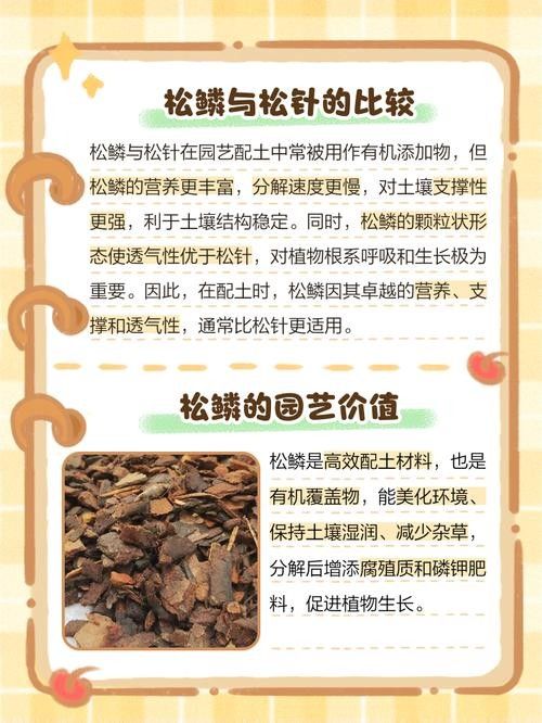 如何預防松鱗病的復發（如何預防松鱗病復發） 如何預防松鱗病的復發（如何預防松鱗病復發） 龍魚百科 第1張