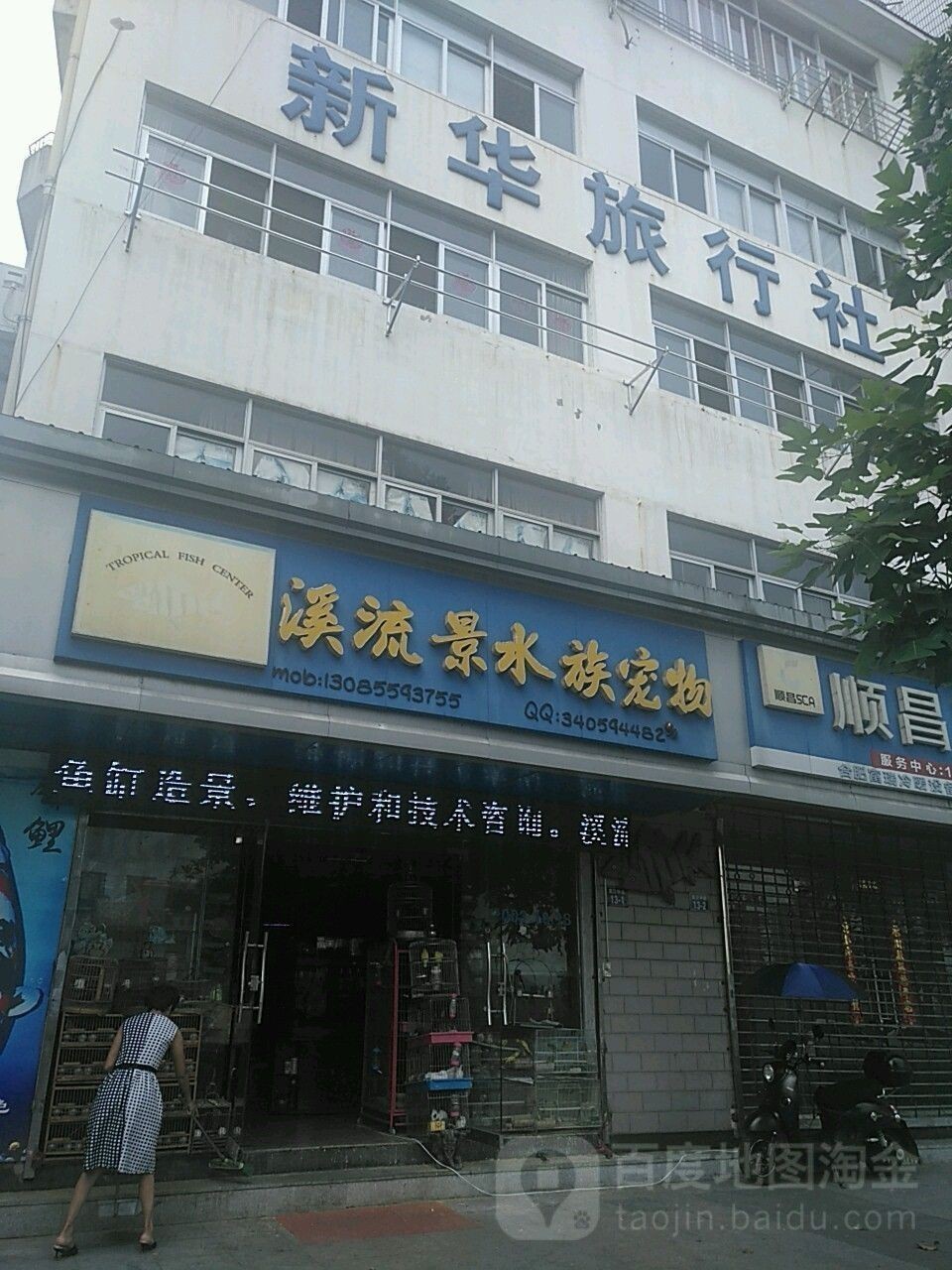 屯溪哪個水族館龍魚好？祥龍魚場龍魚（安徽黃山祥龍魚場聊城水族館|聊城水族館） 屯溪哪個水族館龍魚好？祥龍魚場龍魚（安徽黃山祥龍魚場聊城水族館|聊城水族館） 龍魚百科 第1張