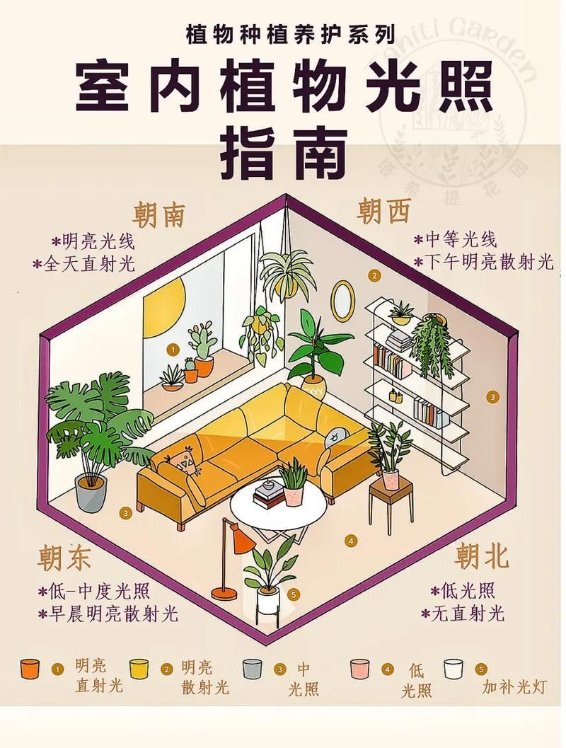 混養(yǎng)環(huán)境中需要哪些躲避裝飾？ 混養(yǎng)環(huán)境中需要哪些躲避裝飾？ 龍魚百科 第1張