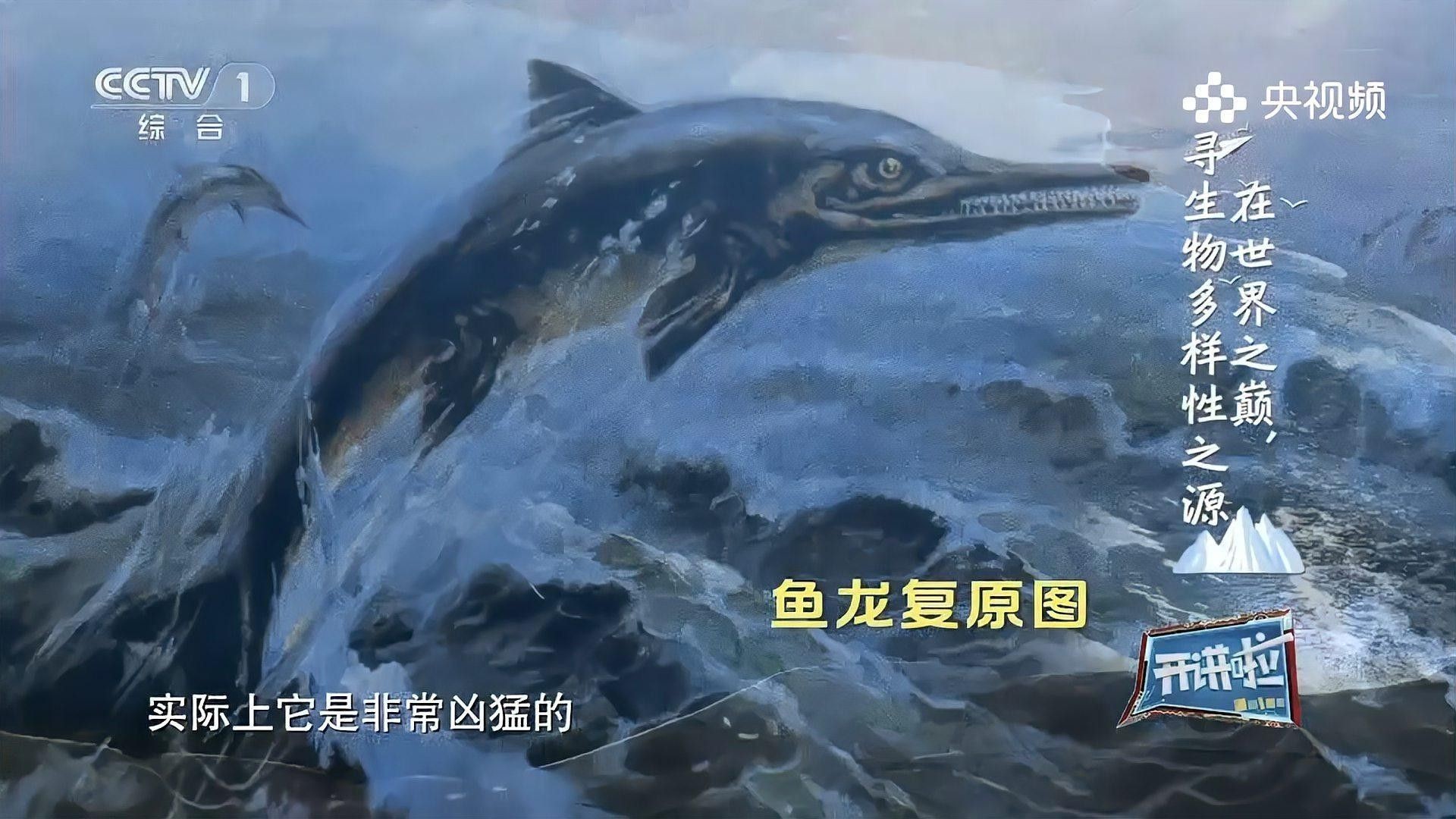 龍魚化石有哪些種類（億萬年前巨大魚龍化石震撼來襲魚龍微信公眾平臺發現）