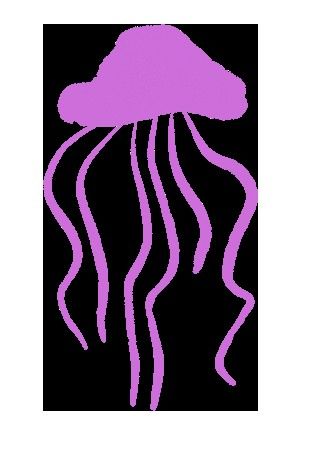 龍魚化石有哪些種類（億萬年前巨大魚龍化石震撼來襲魚龍微信公眾平臺發現）
