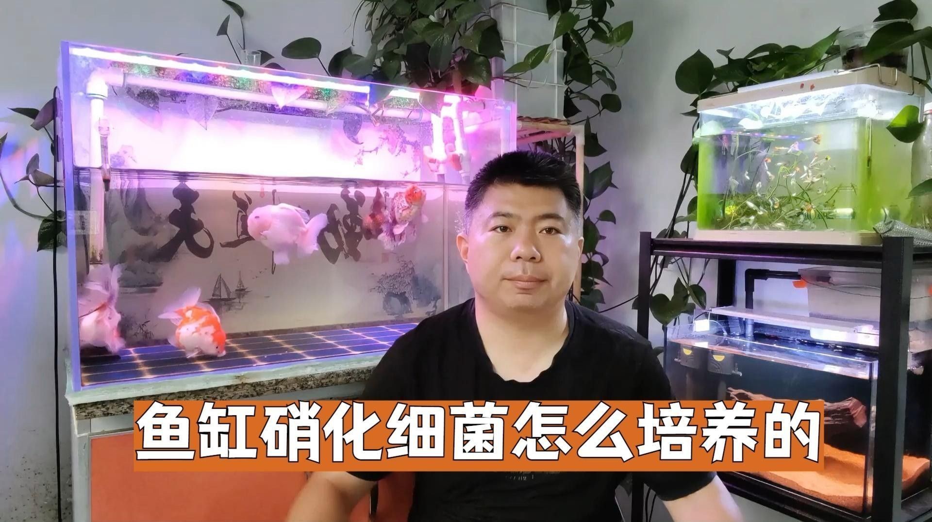 生化過濾中的硝化細菌如何培養