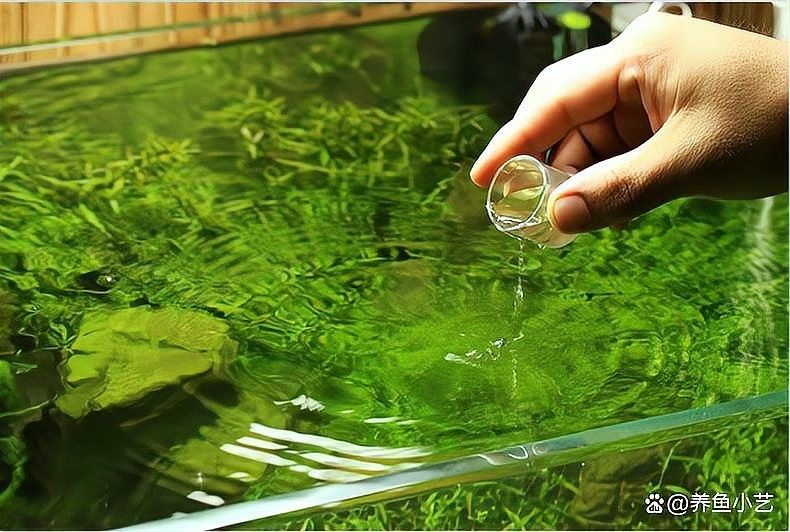 生化過濾中的硝化細菌如何培養