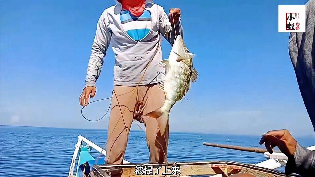 哪種土龍魚最名貴（安徽男子釣到一條“土龍”多人高價想買民生百事通老陳世界最貴） 哪種土龍魚最名貴（安徽男子釣到一條“土龍”多人高價想買民生百事通老陳世界最貴） 龍魚百科 第1張