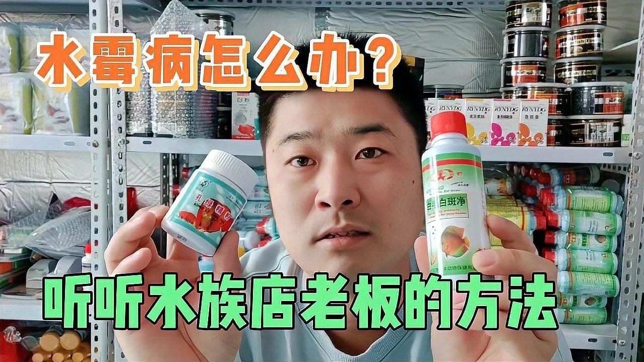 如何正確使用水霉病藥物