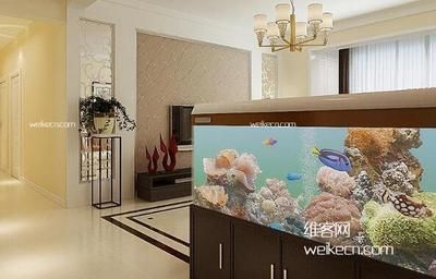 龍魚之家魚缸計算器（龍魚之家魚缸計算器使用龍魚之家魚缸計算器推薦）