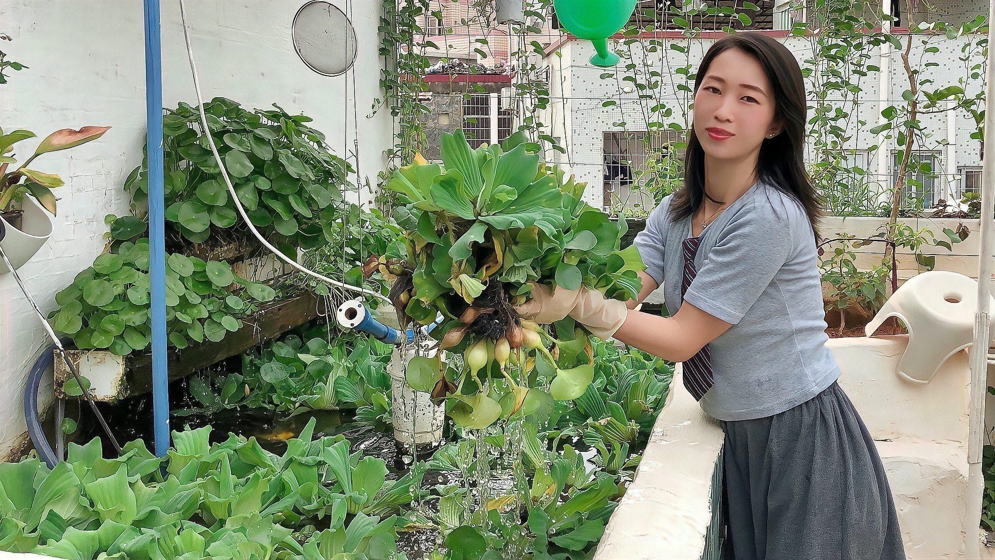 哪些水草適合混養？（養水草的適宜性取決于多種因素，包括水質條件、光照、溫度和營養需求）