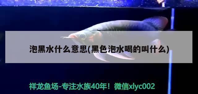 泡黑水什么意思(黑色泡水喝的叫什么)