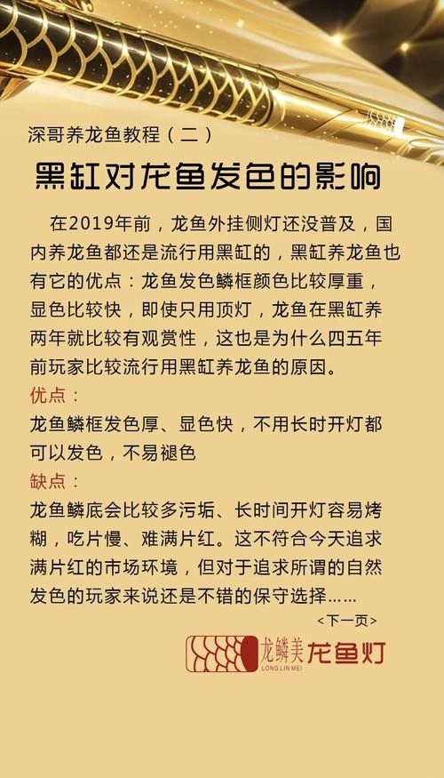 如何選購(gòu)高品質(zhì)龍魚？