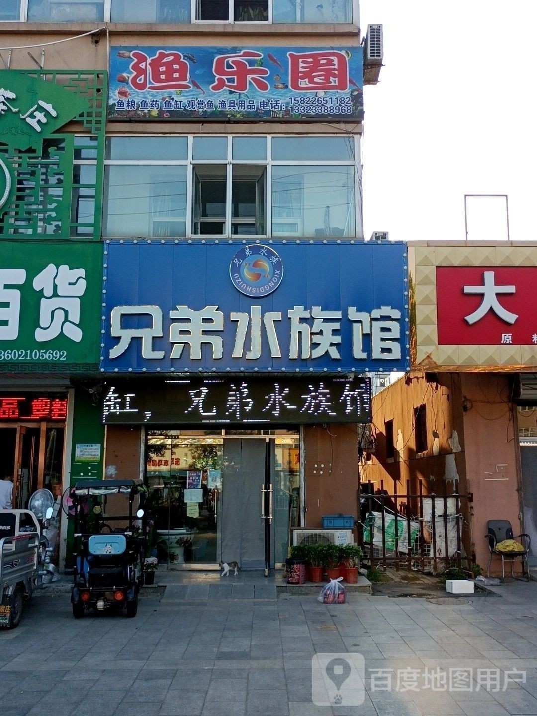 武清哪個水族館龍魚好？祥龍魚場龍魚 武清哪個水族館龍魚好？祥龍魚場龍魚 龍魚百科 第7張
