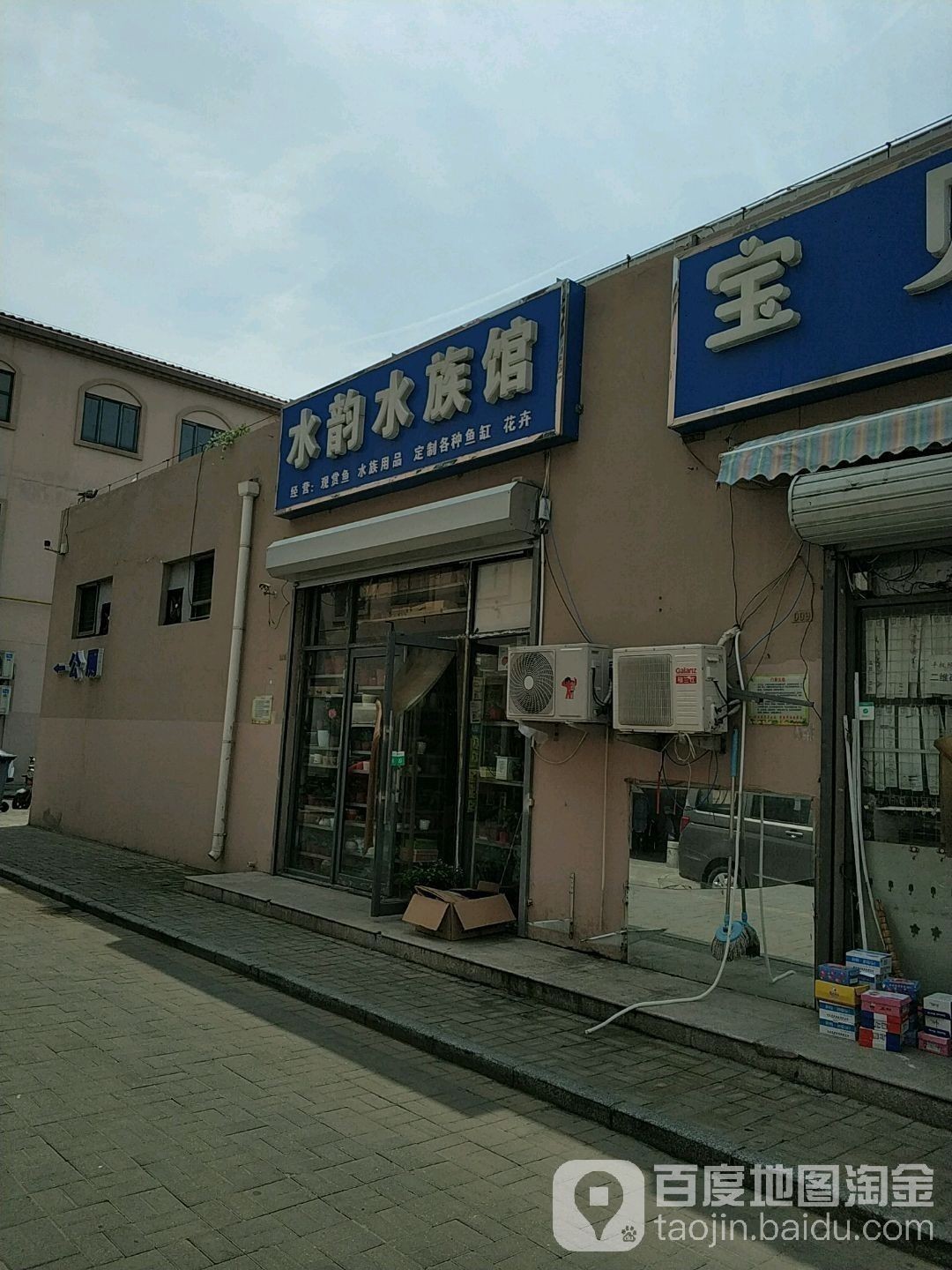 武清哪個水族館龍魚好？祥龍魚場龍魚 武清哪個水族館龍魚好？祥龍魚場龍魚 龍魚百科 第8張