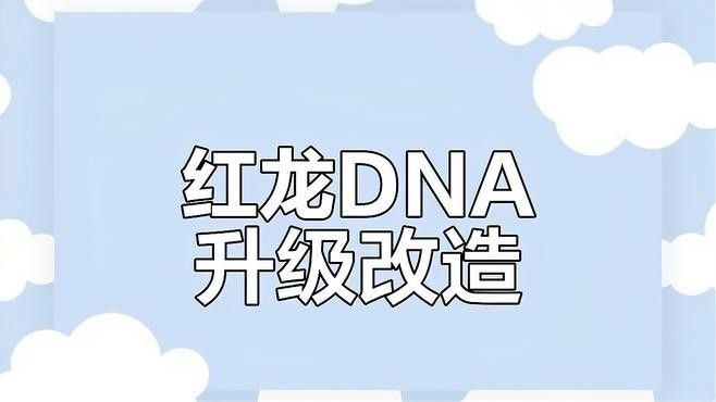 兩星紅龍改造需要哪些工具（兩星紅龍改造所需工具）