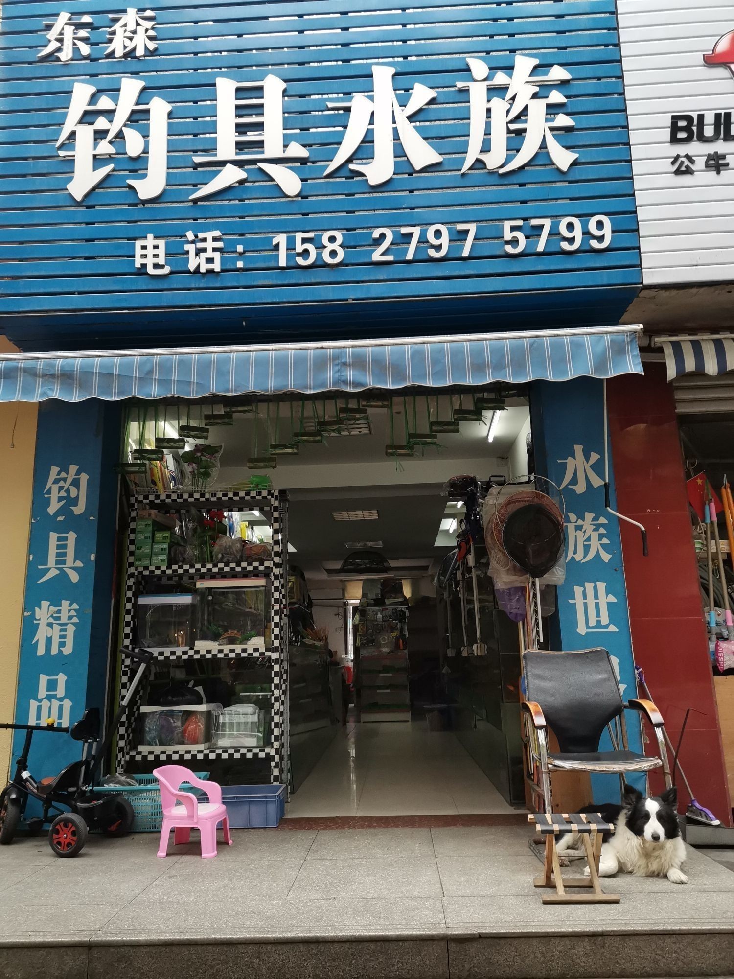 潛江哪個水族館龍魚好？祥龍魚場龍魚（潛江市祥龍魚場） 潛江哪個水族館龍魚好？祥龍魚場龍魚（潛江市祥龍魚場） 龍魚百科 第8張
