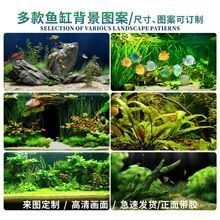 龍魚缸壁紙的價格范圍（影響龍魚缸壁紙價格的因素） 龍魚缸壁紙的價格范圍（影響龍魚缸壁紙價格的因素） 龍魚百科 第7張