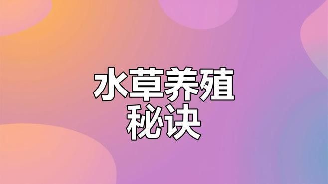 如何種植適合龍魚的水草（水草缸養龍魚造景教程） 如何種植適合龍魚的水草（水草缸養龍魚造景教程） 龍魚百科 第1張