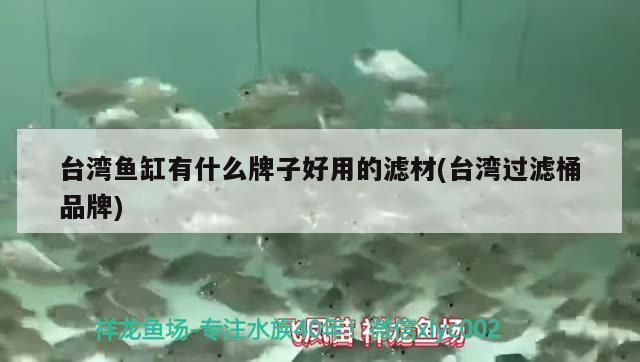 臺灣魚缸有什么牌子好用的濾材(臺灣過濾桶品牌)（臺灣魚缸有什么牌子好用的濾材） 臺灣魚缸有什么牌子好用的濾材(臺灣過濾桶品牌)（臺灣魚缸有什么牌子好用的濾材） 觀賞魚百科