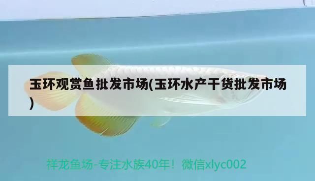 玉環觀賞魚批發市場(玉環水產干貨批發市場)