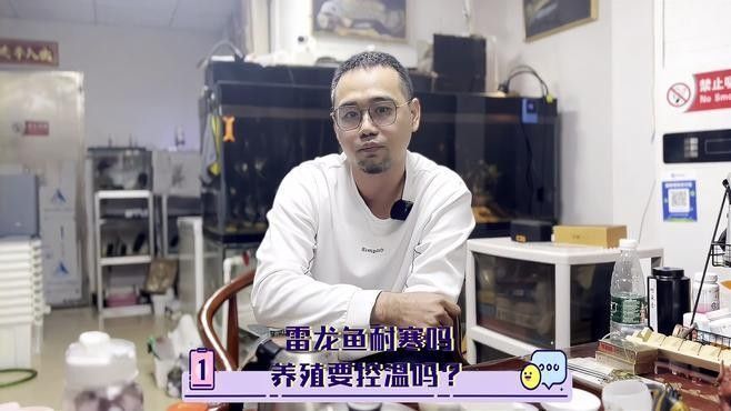 如何判斷雷龍魚是否耐寒？