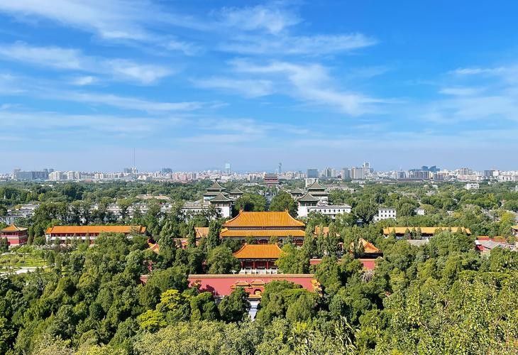 能再給我幾張參考圖片嗎 龍魚百科 第15張 能再給我幾張參考圖片嗎 能再給我幾張參考圖片嗎 龍魚百科 第15張
