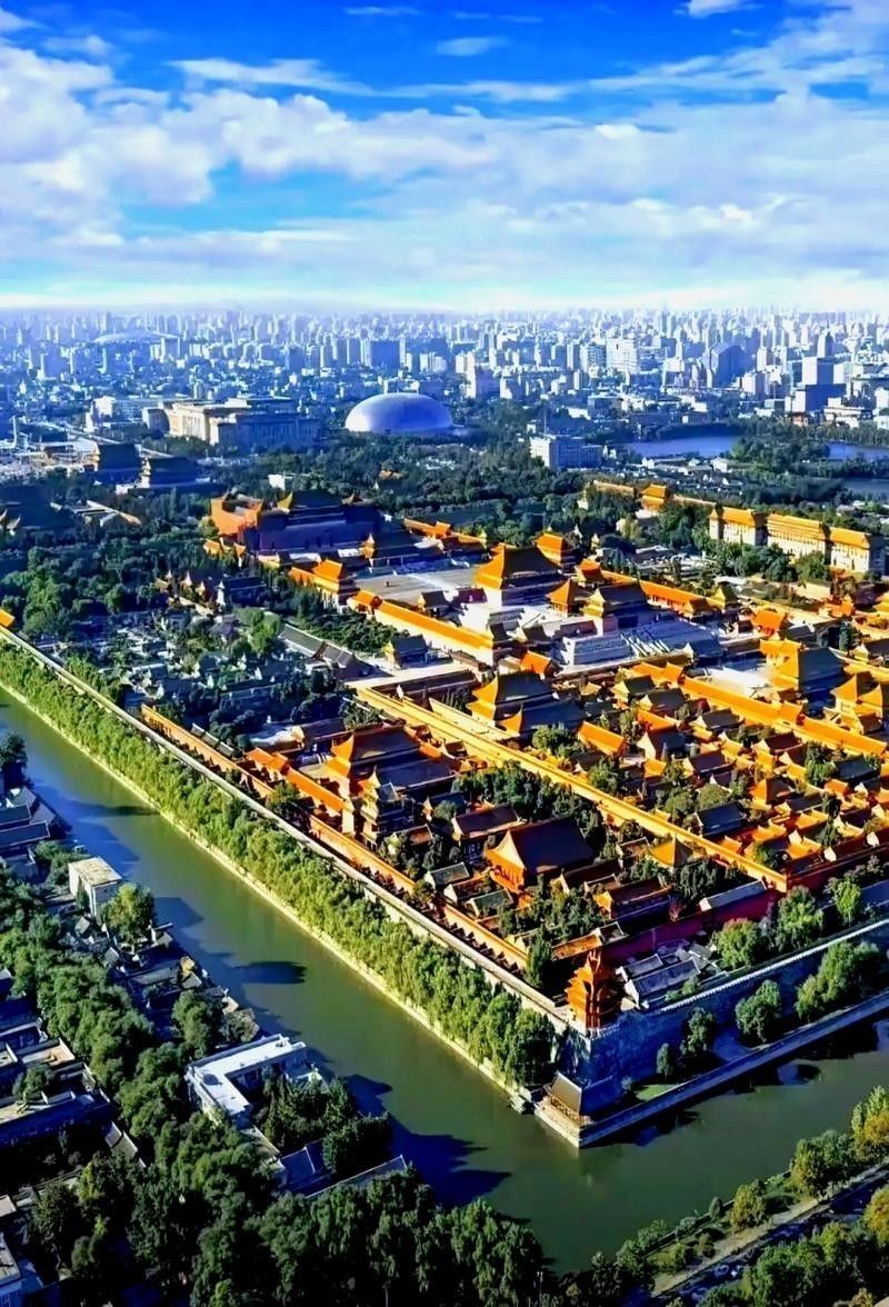 能再給我幾張參考圖片嗎 龍魚百科 第19張 能再給我幾張參考圖片嗎 能再給我幾張參考圖片嗎 龍魚百科 第19張