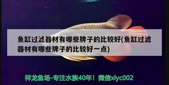魚缸過濾器材有哪些牌子的比較好(魚缸過濾器材有哪些牌子的比較好一點)