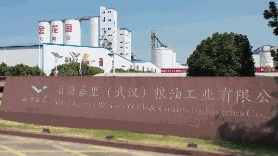 金龍魚在<strong><mark>湖北</mark></strong>有哪些崗位？
