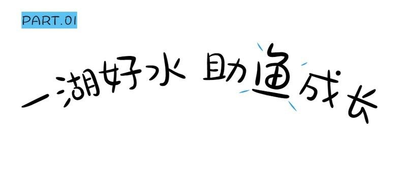 金龍魚在湖北有哪些崗位？