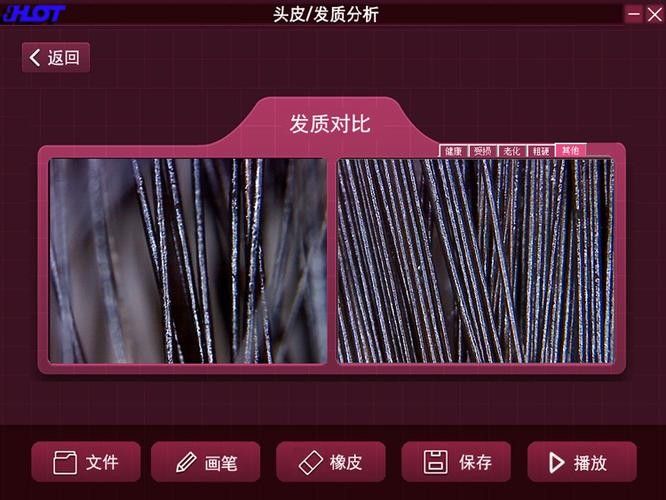 森森和漢霸哪個更適合新手（新手友好性對比森森魚缸和森森魚缸哪個更靠譜）