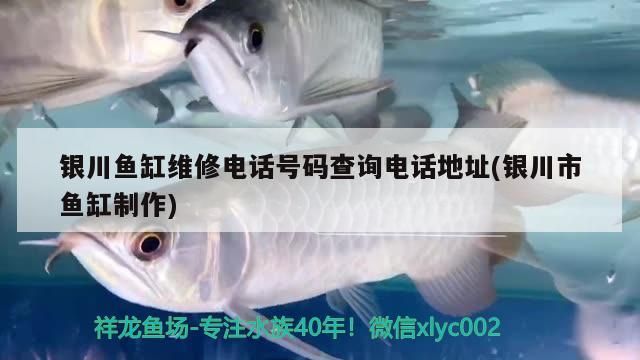 銀川魚缸維修電話號碼查詢電話地址(銀川市魚缸制作)（銀川市魚缸維修電話號碼查詢電話地址的介紹）