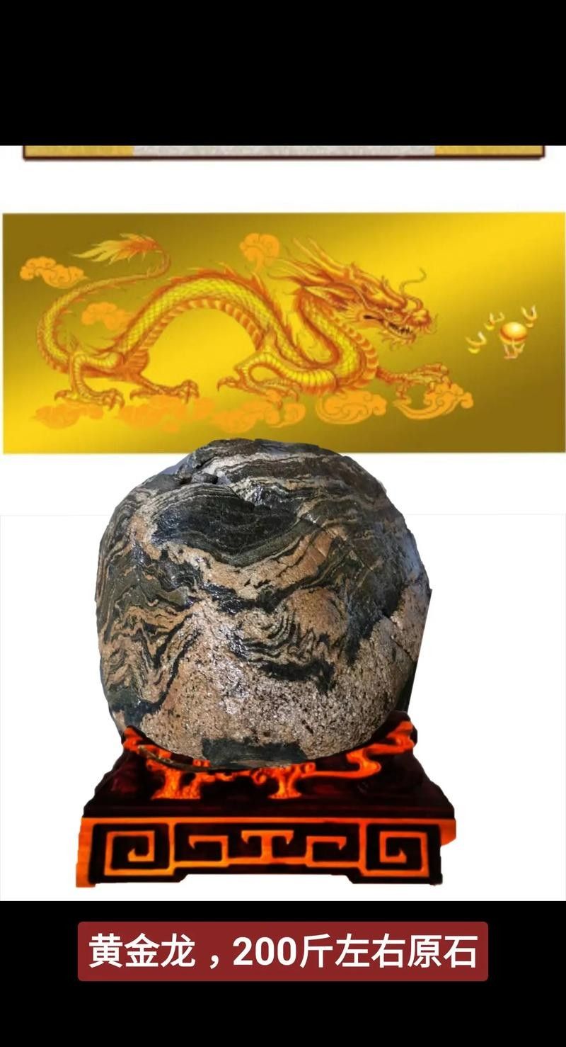 重金屬寶石金龍有哪些特點(diǎn)?(重金屬寶石金龍是金龍魚品種中的特殊類型) 龍魚百科 第3張 重金屬寶石金龍有哪些特點(diǎn)?(重金屬寶石金龍是金龍魚品種中的特殊類型) 重金屬寶石金龍有哪些特點(diǎn)?(重金屬寶石金龍是金龍魚品種中的特殊類型) 龍魚百科 第3張